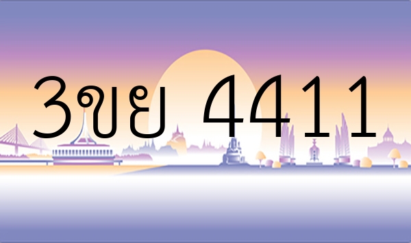 3ขย 4411